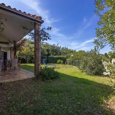Dhamma - Goelba *